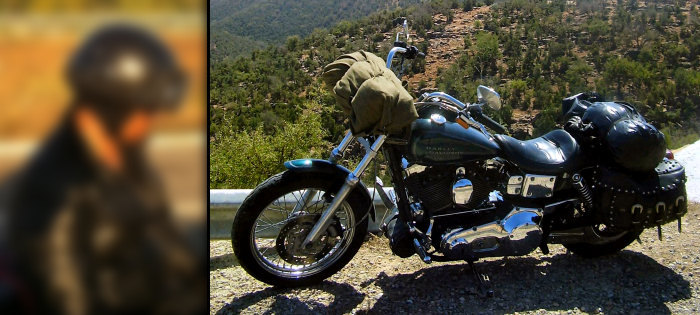 Harley-Davidson 1450 DYNA LOW RIDER edition HOGGER 2001