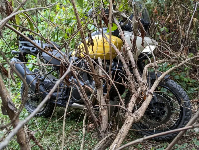 La Harley-Davidson 1250 Pan America Special en forêt
